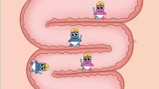 适合长期吃的益生菌有哪些,健康微生态益生菌有哪些