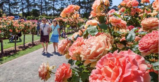 老外说howareyou真正内涵是？别用fine了：他们可不是这么说的