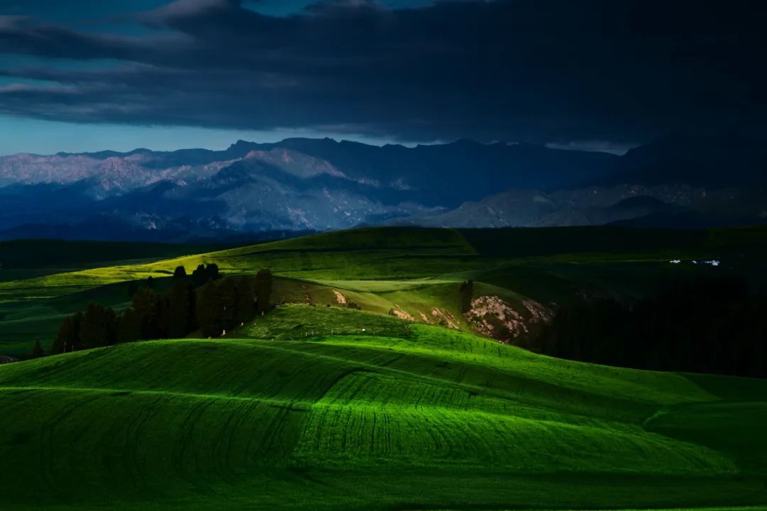懂得装傻才是最高的人生智慧,装傻原来是一种幸福