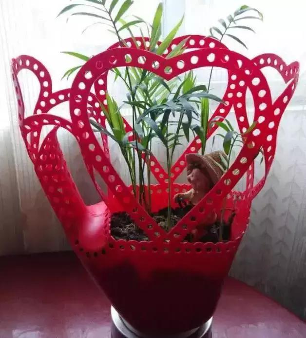 洗衣液瓶改造成花瓶怎么改造,空洗衣液瓶改造成花瓶的教程