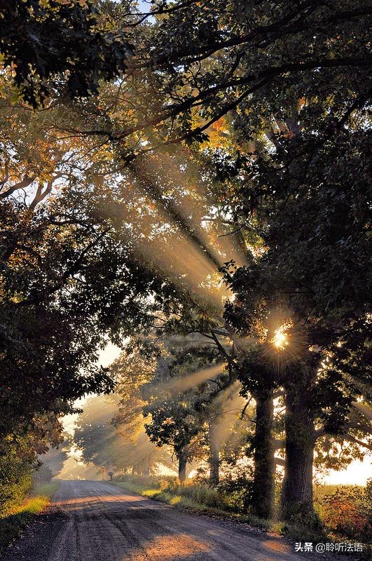 佛学经典讲座视频,佛学知识讲座