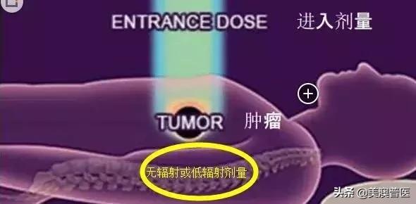 李宗伟质子重离子完全治好了吗,李宗伟退役中文版