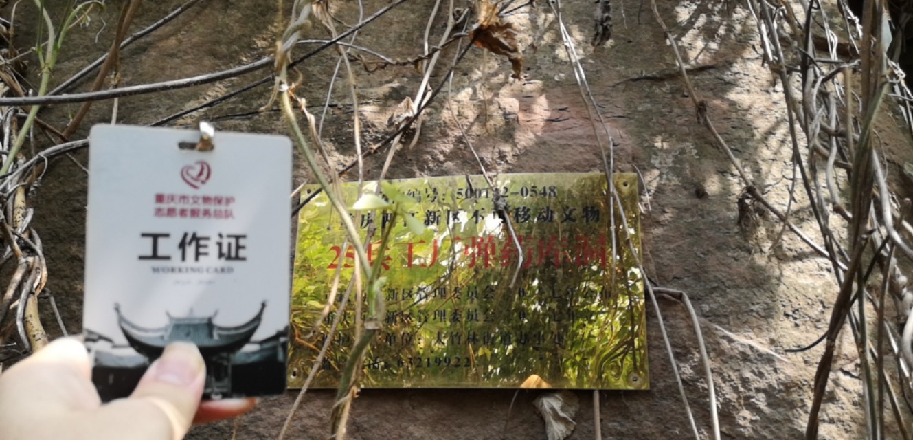 扫街日记100篇,扫街日记视频