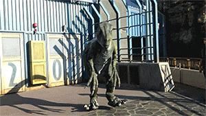 沉浸式乐园强势来袭游客“刷刷刷”不停