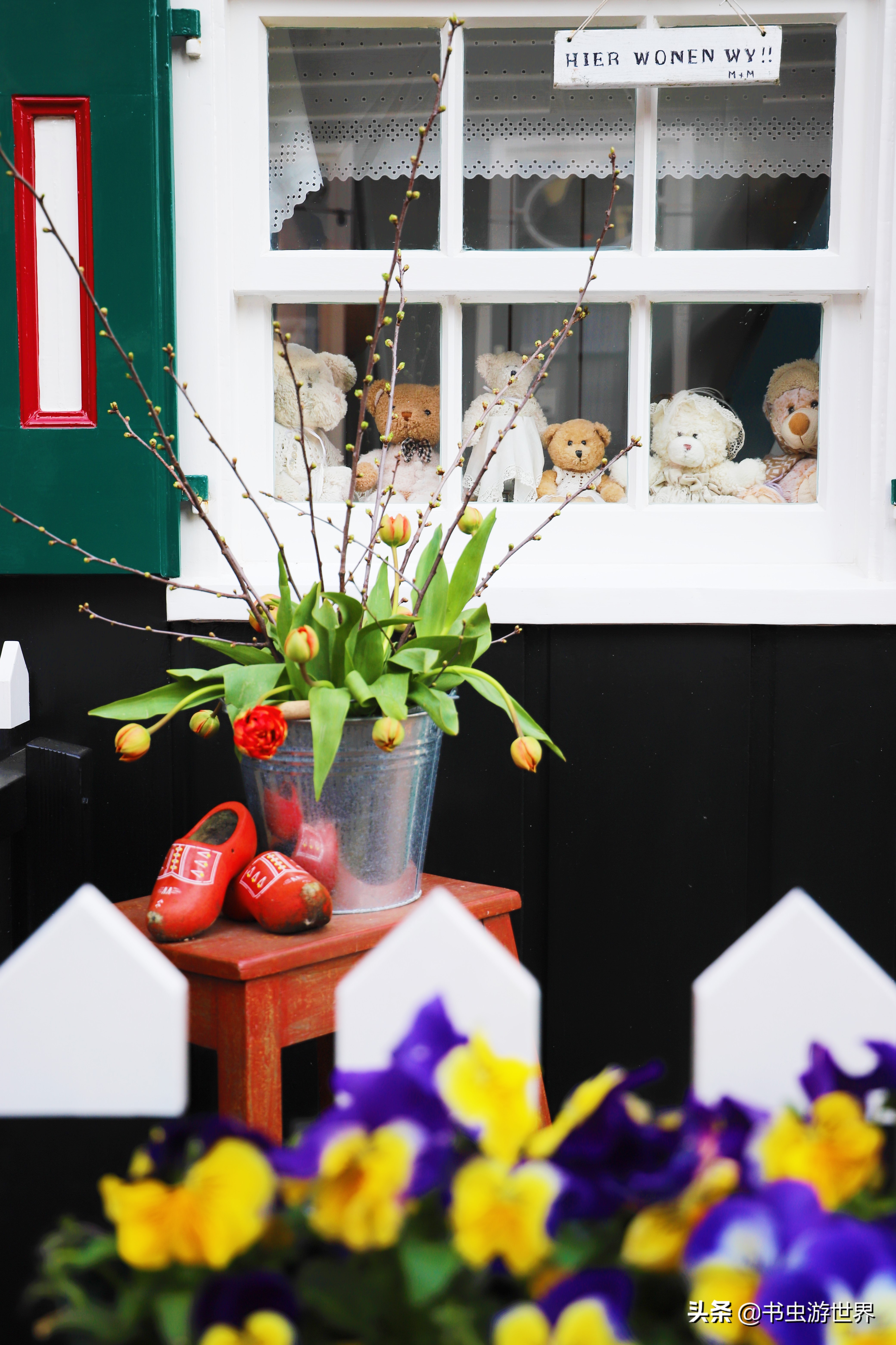 红顶小木屋,红顶绿墙小木屋