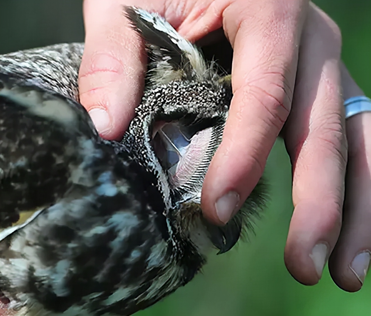 全身发抖的图片,全身发抖的照片