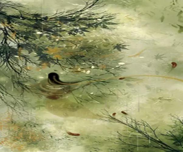 汉字知识大分享,国人必知的汉字常识