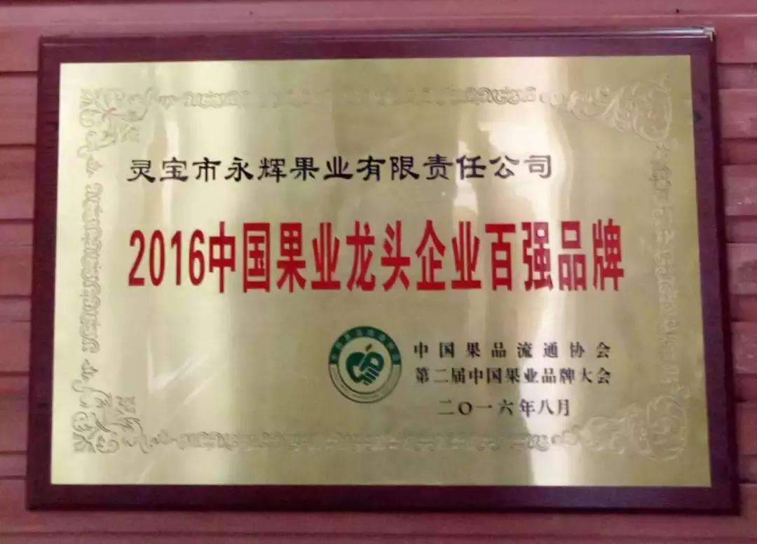 30元一颗的“灵宝金苹果”，如何在跌宕起伏的水果行业稳固生存？