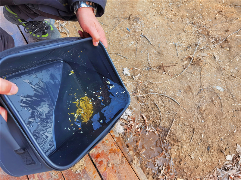 firemaple火枫户外烤盘,火枫firemaple和300t