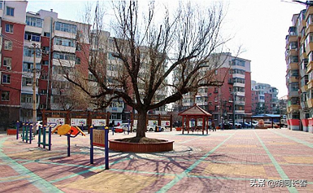 好男不娶桃源路什么意思,好男不娶桃源路好女不嫁八里堡