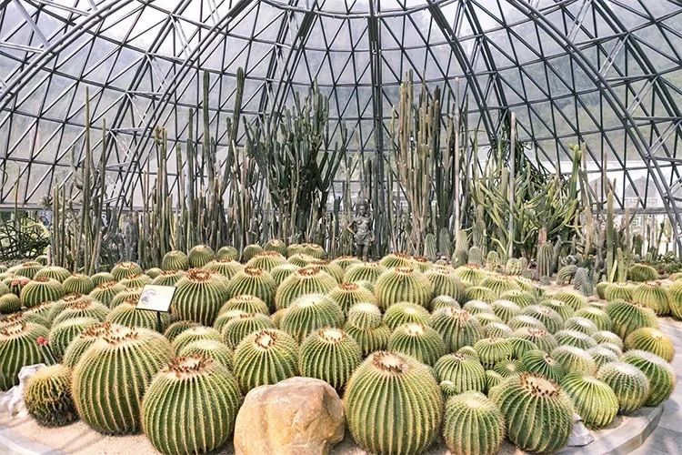 深圳旅游好去处推荐,深圳宝安区周末休闲浪漫好去处