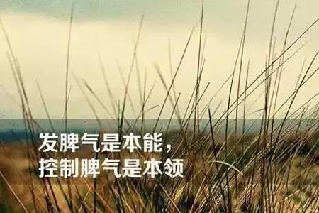 学会控制情绪是最好的人生教养,稳定的情绪才是一个人最好的教养