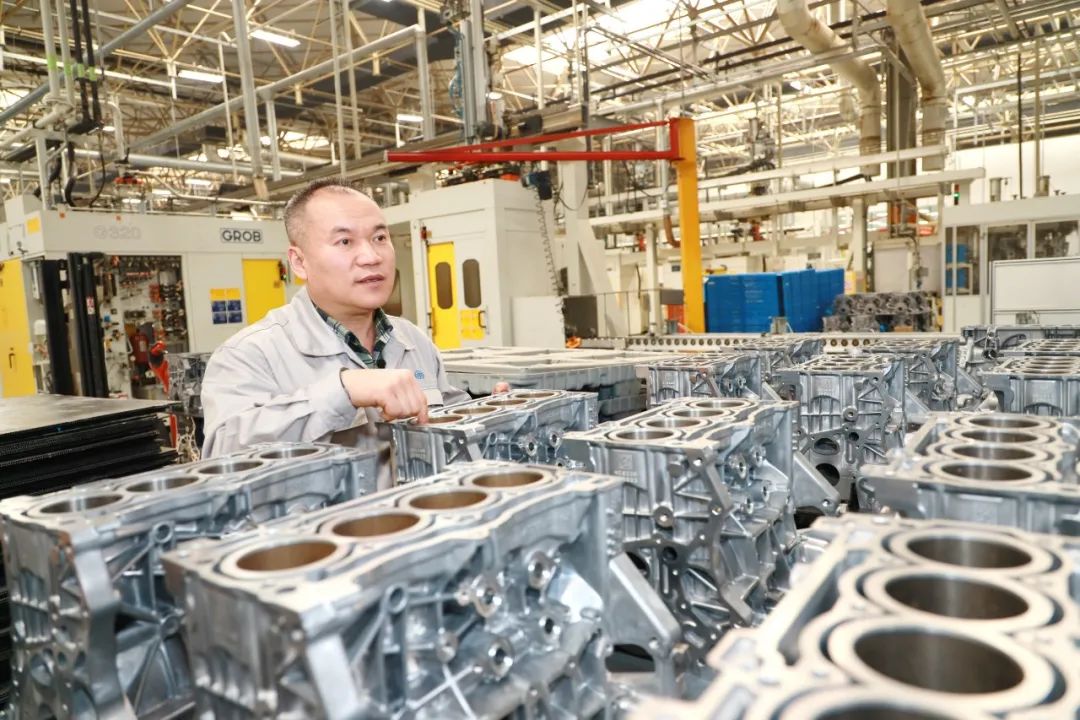 青春不老芳华依旧歌曲原唱,青春不老风华不减