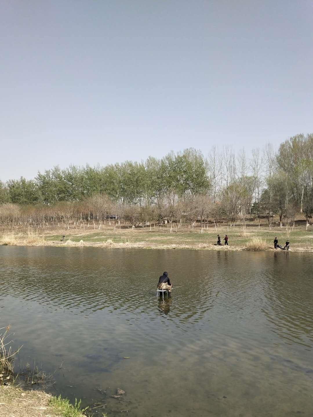 孕期尴尬事教你巧化解,孕期胎停经历分享