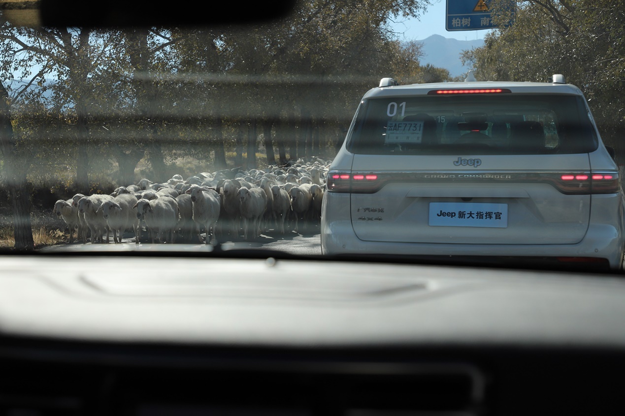 试驾jeep新款大指挥官,jeep大指挥官挑战绝望坡