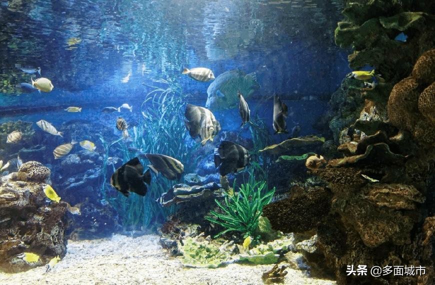 大连一日游有哪些景点,大连冬天景点排行榜