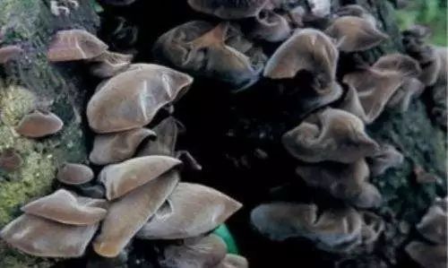 哈尔滨市内环境,哈尔滨一年四季的现状