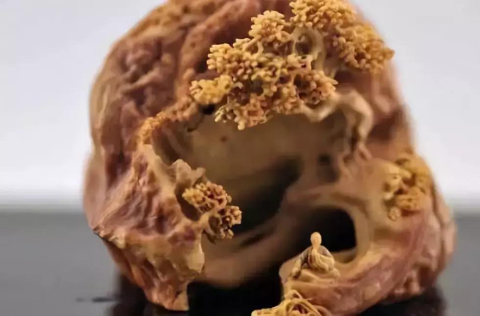 价值240万非洲的原木，雕刻成品出来后震惊全场，一片心疼声！