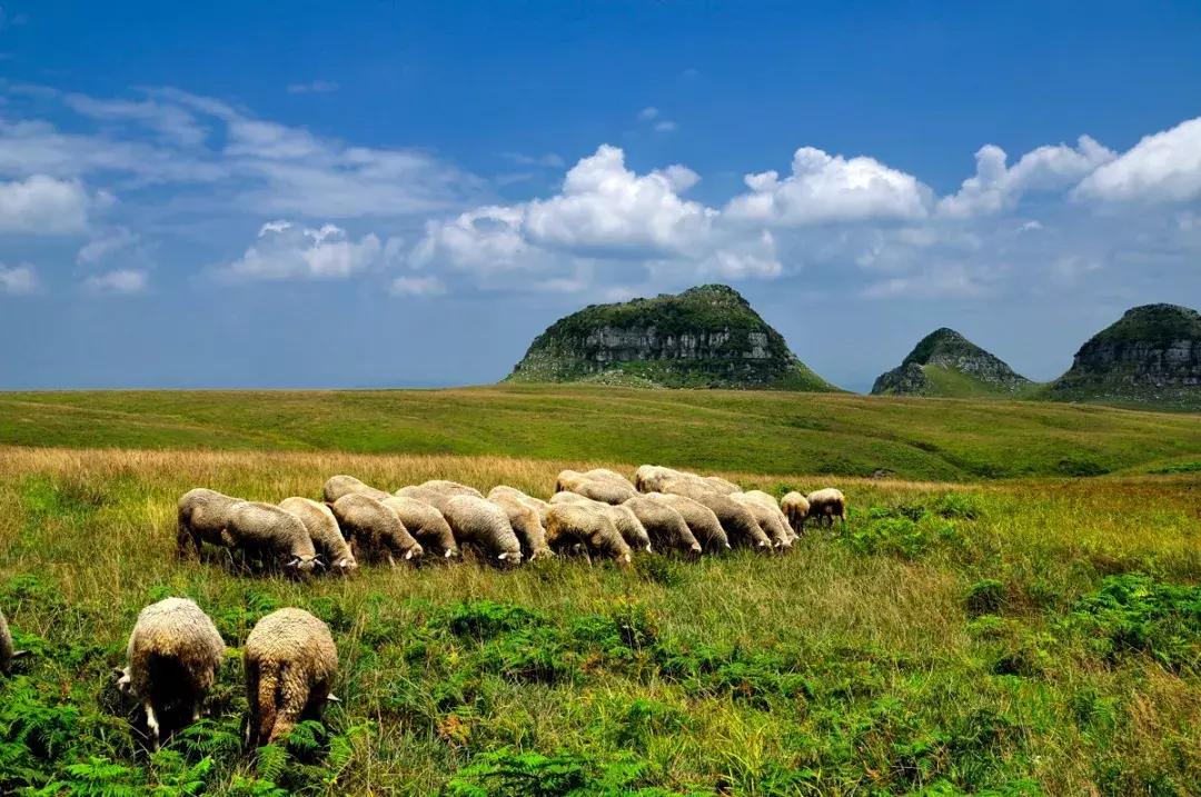 贵州旅游住宿攻略大全推荐,贵州旅游攻略几月份去好点