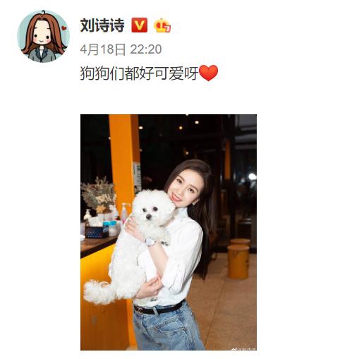 鍒樿瘲璇楁瘮鐔婄姮,鍒樿瘲璇楁瘮鐔婄姮鍥剧墖