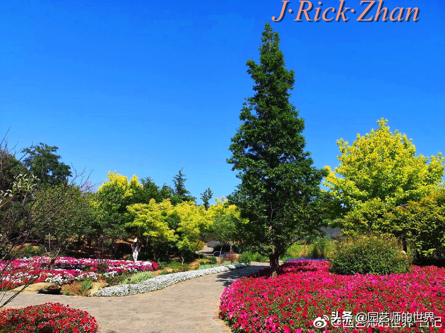 值得参观的国内优秀花园之品鉴（上篇）