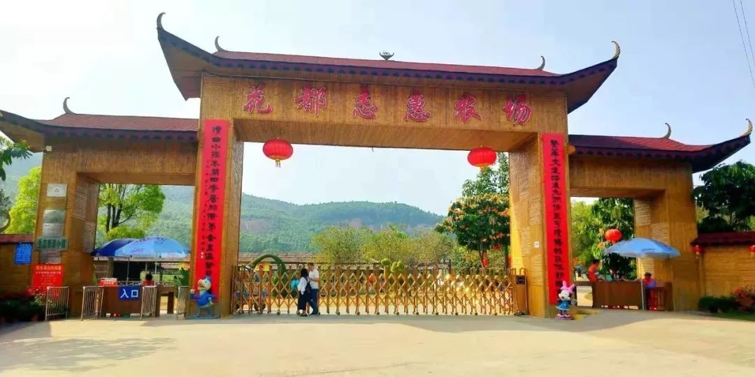 广东广州秋天正确的打开方式,广州花都夏天的好去处