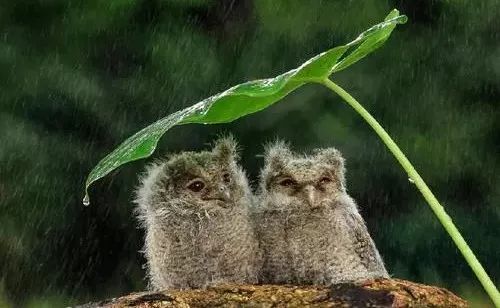 晾衣服下面晾不干怎么回事,梅雨天气衣服经常晾不干怎么办