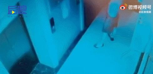 “我不过是杀了一只猫，别因为它伤了邻居的和气”