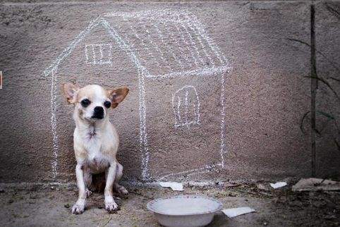 缺少存在感,缺乏存在感的人能改善吗