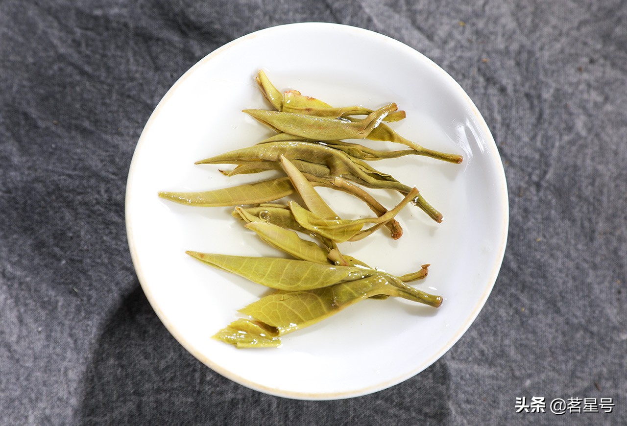 如何识别冰岛古树普洱茶,如何辨别冰岛普洱叶底真假