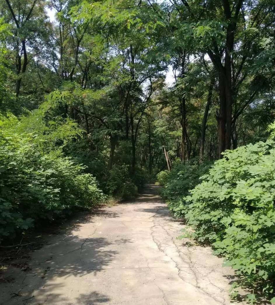 李来章简介,紫云书院与李来章