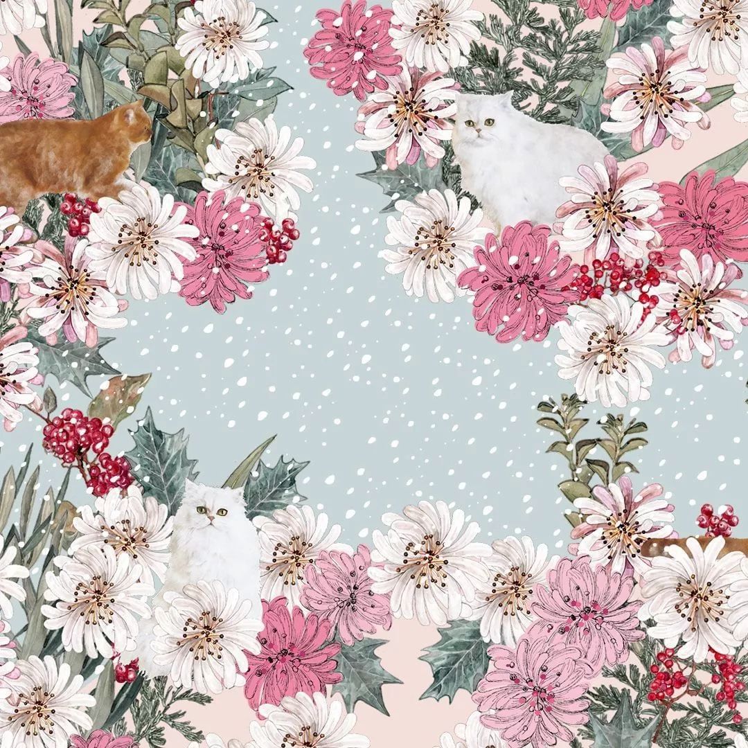 最值的日历礼盒,15年十二月日历表