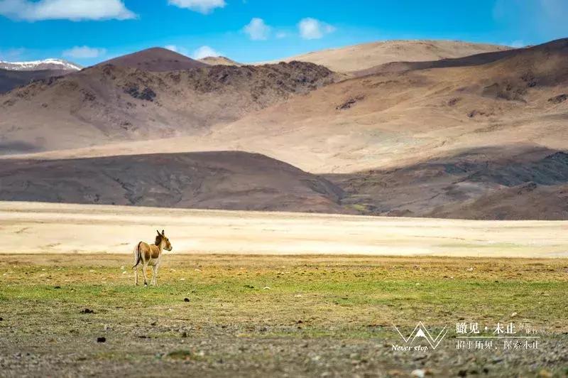 边防证哪些地区是必去的,纯干货赴西藏旅游边防证办理流程