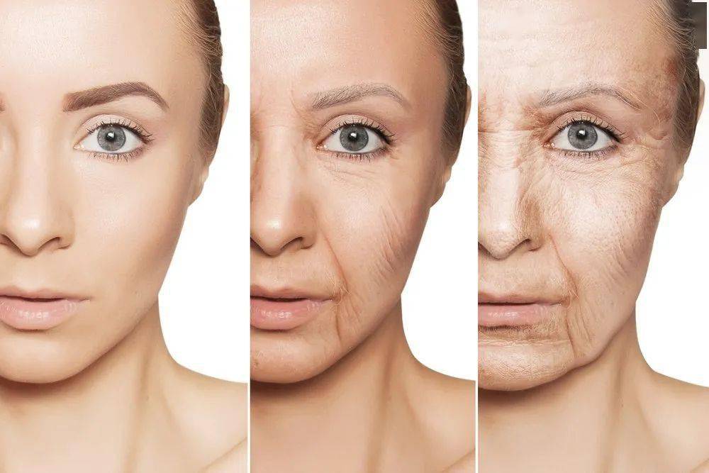 她爆红了整个娱乐圈,她的成名史