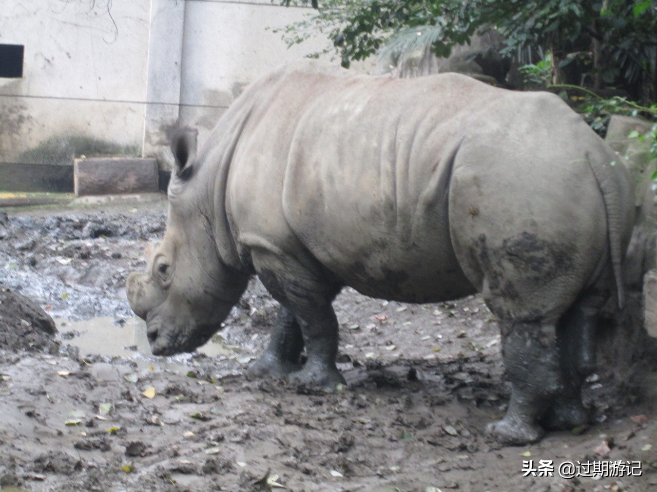 成都小众景点全部,成都动物园本周六免门票怎么预约