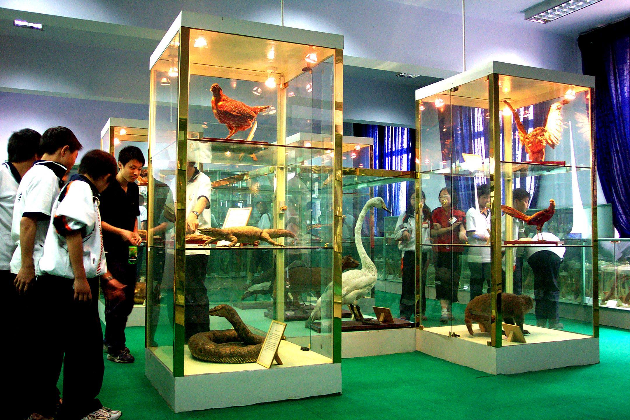 颜值高的大学,颜值高学校