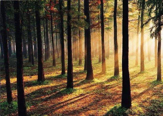 上海旅游交通攻略,上海交通方便的旅游景点