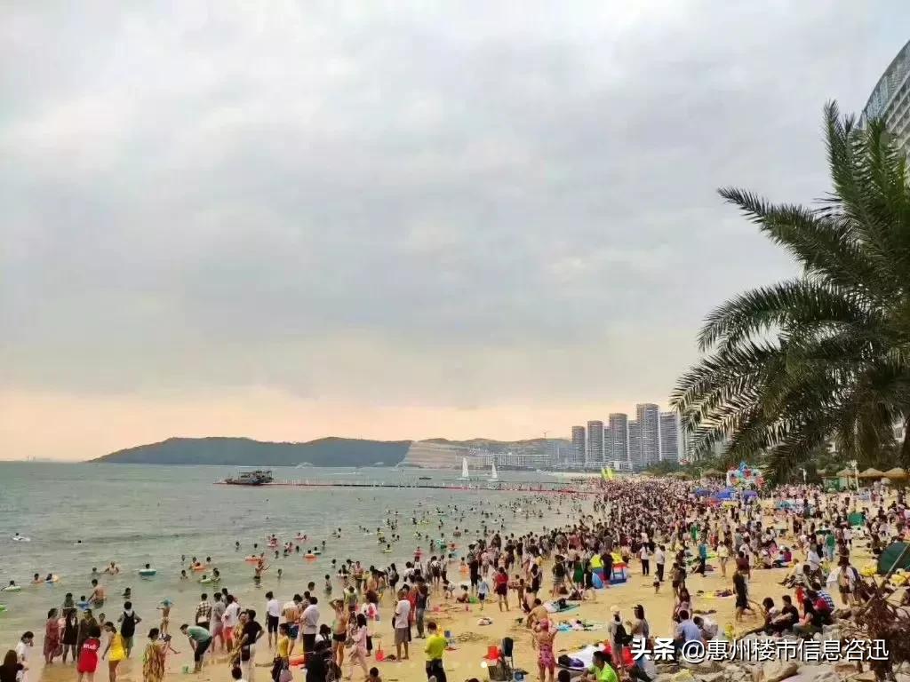 实踩惠州滨海线90%海景房，旺季租到2万/晚真能躺赚吗？