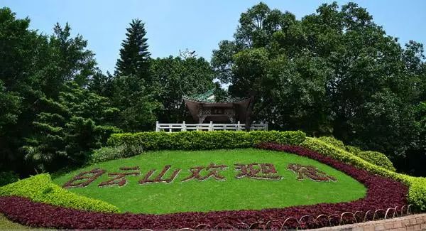 广州适合情侣旅游的景区推荐,广州情侣必去的旅游胜地