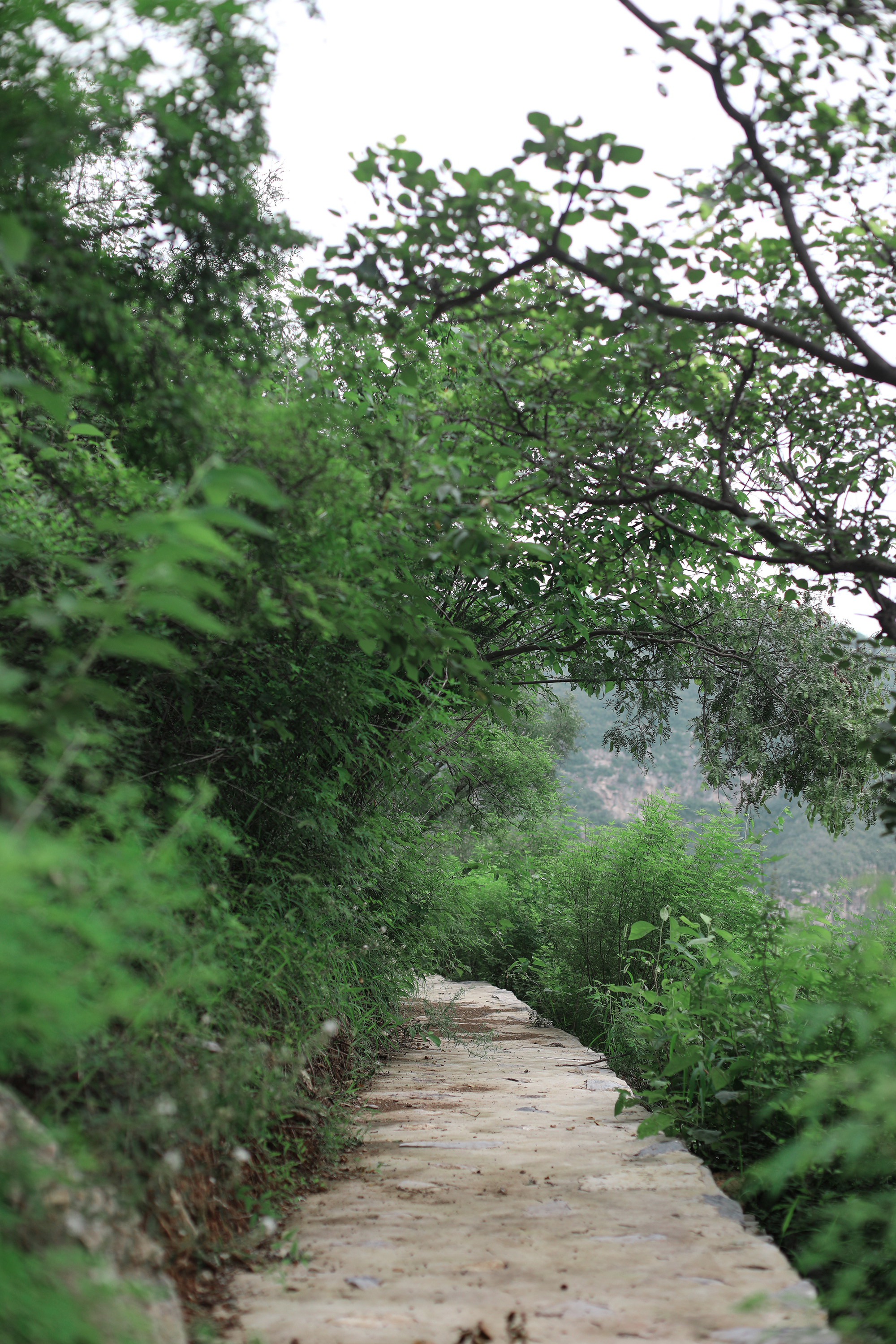 京郊房山登山路线,房山东港登山步道