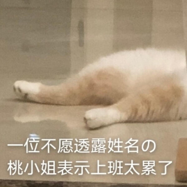 沙雕群聊昵称5人,沙雕群聊昵称富婆