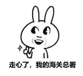 海关扣下的化妆品便宜吗,被海关查到的包包怎样处理