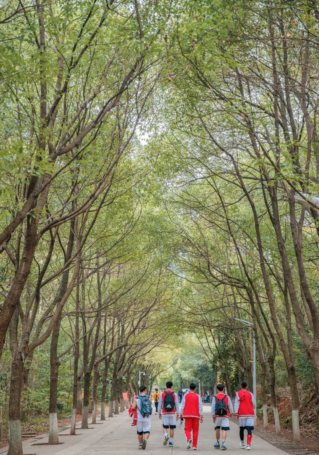 婀栧崡闀挎矙姘戞斂瀛﹂櫌,闀挎矙姘戞斂鑹烘湳瀛﹂櫌