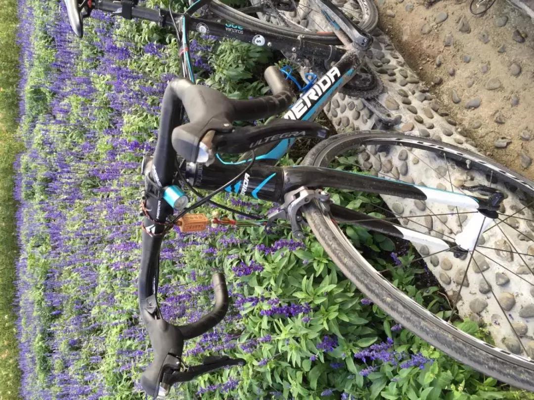 骑行入门怎么做计划,骑行到底怎么练