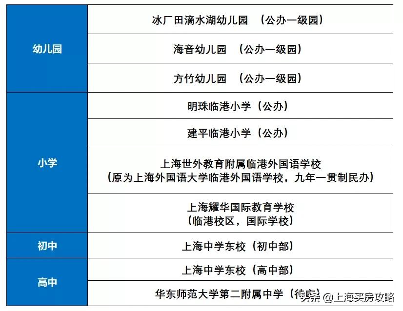 杨超越临港落户,锦鲤杨超越