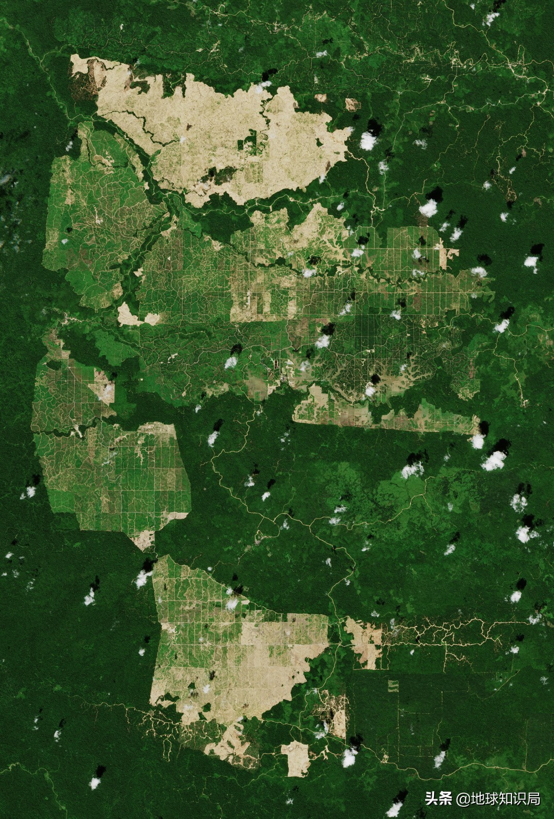 印尼在亚洲的实力排名,印尼有几亿人