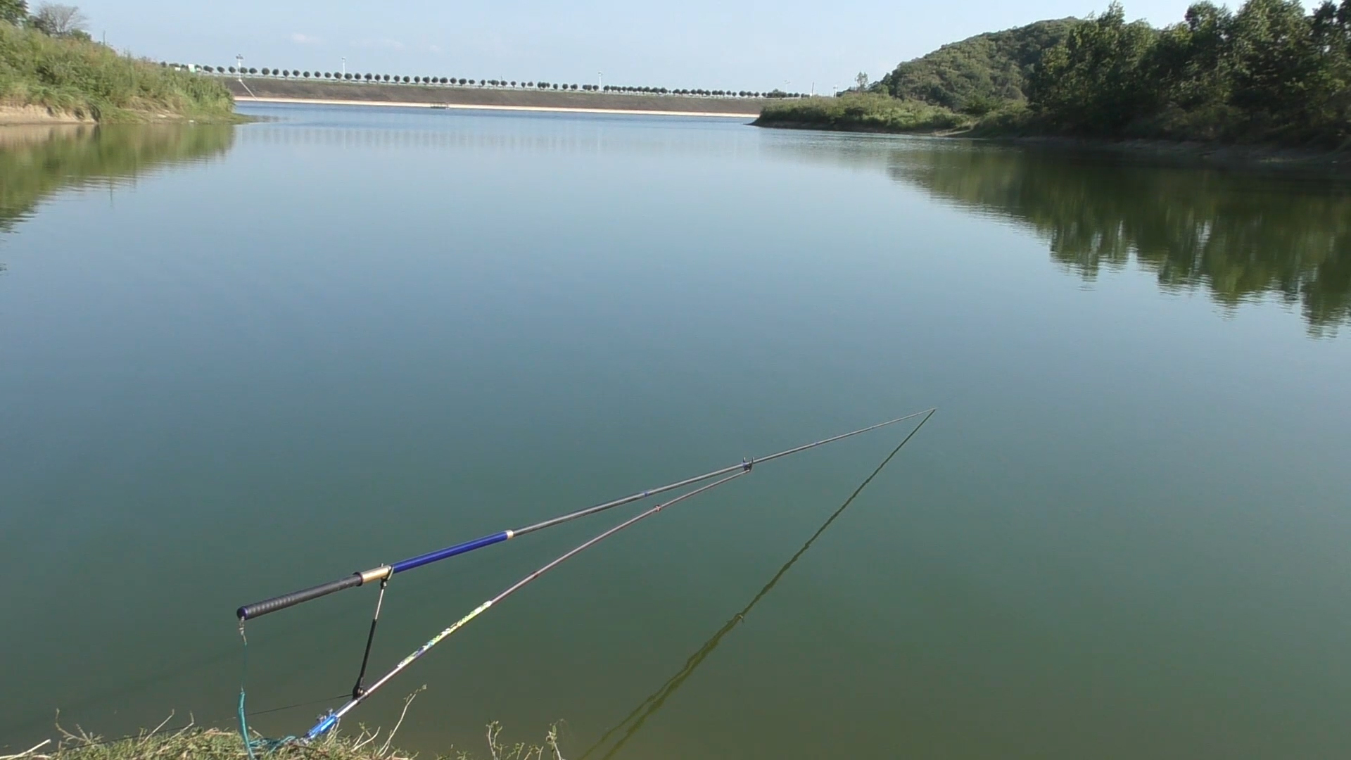 新手小白钓鱼适合什么样的鱼竿,新手买19调还是28调鱼竿好