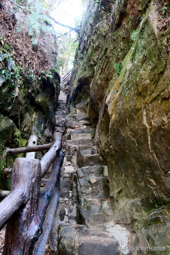 张家界森林公园亲子游攻略,张家界旅游攻略现在张家界气温