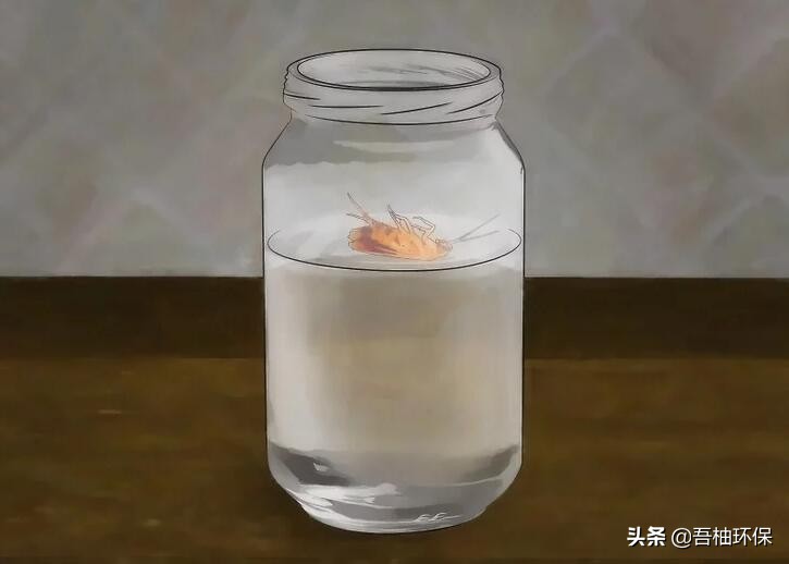 家里蟑螂快速消灭法,家里蟑螂太多怎么消灭小妙招