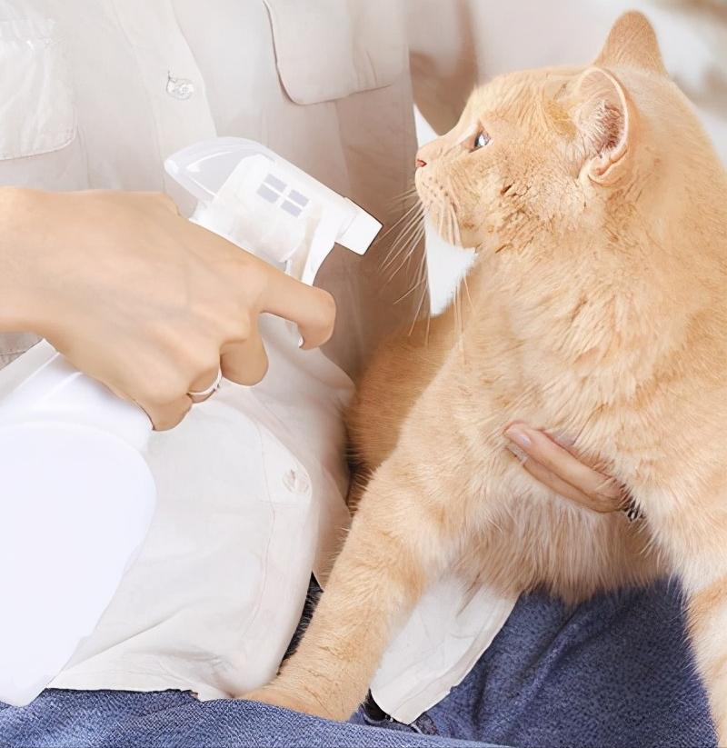 猫咪得猫癣一定会传染给人吗,脚气会不会传染给猫形成猫癣